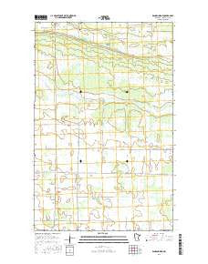 Randen Ridge Minnesota Current topographic map, 1:24000 scale, 7.5 X 7.5 Minute, Year 2016