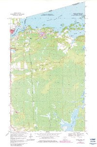 Ranier Minnesota Historical topographic map, 1:24000 scale, 7.5 X 7.5 Minute, Year 1969