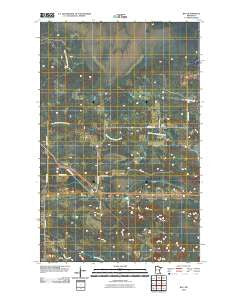 Ray Minnesota Historical topographic map, 1:24000 scale, 7.5 X 7.5 Minute, Year 2010