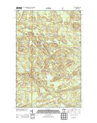 Ray SE Minnesota Historical topographic map, 1:24000 scale, 7.5 X 7.5 Minute, Year 2013