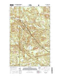 Ray SE Minnesota Current topographic map, 1:24000 scale, 7.5 X 7.5 Minute, Year 2016