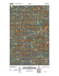 Ray SW Minnesota Historical topographic map, 1:24000 scale, 7.5 X 7.5 Minute, Year 2010