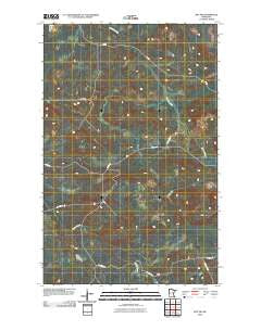 Ray SW Minnesota Historical topographic map, 1:24000 scale, 7.5 X 7.5 Minute, Year 2010
