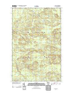 Ray SW Minnesota Historical topographic map, 1:24000 scale, 7.5 X 7.5 Minute, Year 2013