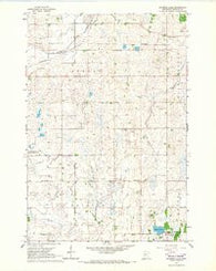 Raymond Lake Minnesota Historical topographic map, 1:24000 scale, 7.5 X 7.5 Minute, Year 1965