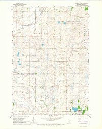Raymond Lake Minnesota Historical topographic map, 1:24000 scale, 7.5 X 7.5 Minute, Year 1965