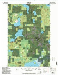 Remer Minnesota Historical topographic map, 1:24000 scale, 7.5 X 7.5 Minute, Year 1996