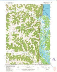 Reno Minnesota Historical topographic map, 1:24000 scale, 7.5 X 7.5 Minute, Year 1980