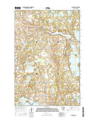 Richwood Minnesota Current topographic map, 1:24000 scale, 7.5 X 7.5 Minute, Year 2016