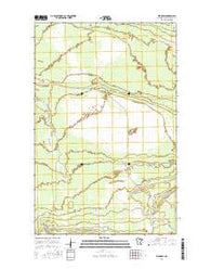 Ridge SW Minnesota Current topographic map, 1:24000 scale, 7.5 X 7.5 Minute, Year 2016