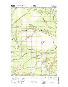 Ridge SW Minnesota Current topographic map, 1:24000 scale, 7.5 X 7.5 Minute, Year 2016