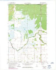Roseau NE Minnesota Historical topographic map, 1:24000 scale, 7.5 X 7.5 Minute, Year 1966
