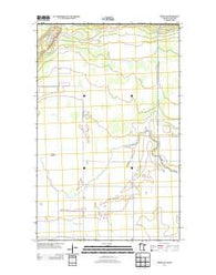Roseau NE Minnesota Historical topographic map, 1:24000 scale, 7.5 X 7.5 Minute, Year 2013
