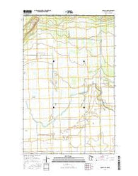 Roseau NE Minnesota Current topographic map, 1:24000 scale, 7.5 X 7.5 Minute, Year 2016
