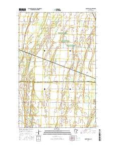 Rosewood Minnesota Current topographic map, 1:24000 scale, 7.5 X 7.5 Minute, Year 2016