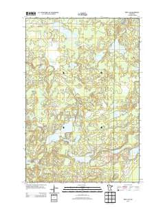 Ross Lake Minnesota Historical topographic map, 1:24000 scale, 7.5 X 7.5 Minute, Year 2013