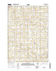 Rowena Minnesota Current topographic map, 1:24000 scale, 7.5 X 7.5 Minute, Year 2016