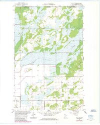 Salol NE Minnesota Historical topographic map, 1:24000 scale, 7.5 X 7.5 Minute, Year 1966