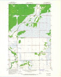 Salol NW Minnesota Historical topographic map, 1:24000 scale, 7.5 X 7.5 Minute, Year 1966