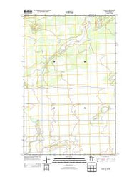 Salol NW Minnesota Historical topographic map, 1:24000 scale, 7.5 X 7.5 Minute, Year 2013