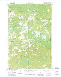 Sassas Creek Minnesota Historical topographic map, 1:24000 scale, 7.5 X 7.5 Minute, Year 1964