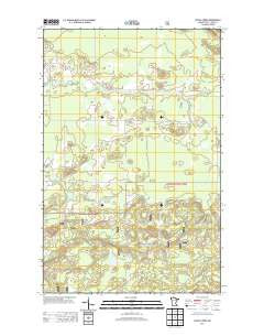 Sassas Creek Minnesota Historical topographic map, 1:24000 scale, 7.5 X 7.5 Minute, Year 2013
