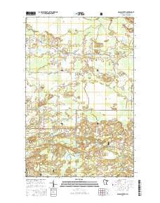 Sassas Creek Minnesota Current topographic map, 1:24000 scale, 7.5 X 7.5 Minute, Year 2016