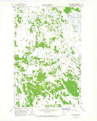 Skull Lake SE Minnesota Historical topographic map, 1:24000 scale, 7.5 X 7.5 Minute, Year 1966