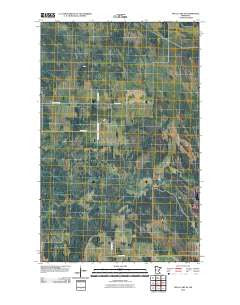Skull Lake SE Minnesota Historical topographic map, 1:24000 scale, 7.5 X 7.5 Minute, Year 2010