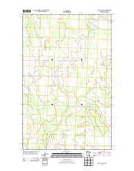 Skull Lake SE Minnesota Historical topographic map, 1:24000 scale, 7.5 X 7.5 Minute, Year 2013