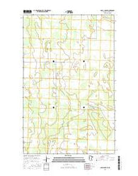 Skull Lake SE Minnesota Current topographic map, 1:24000 scale, 7.5 X 7.5 Minute, Year 2016