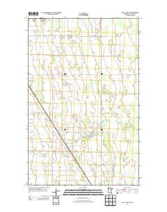 Skull Lake SW Minnesota Historical topographic map, 1:24000 scale, 7.5 X 7.5 Minute, Year 2013