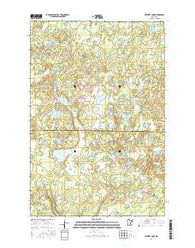 Stewart Lake Minnesota Current topographic map, 1:24000 scale, 7.5 X 7.5 Minute, Year 2016