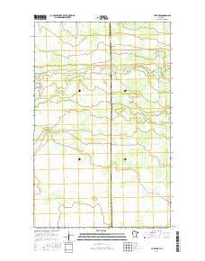 The Pines Minnesota Current topographic map, 1:24000 scale, 7.5 X 7.5 Minute, Year 2016