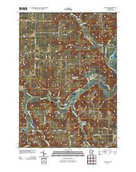 Theilman Minnesota Historical topographic map, 1:24000 scale, 7.5 X 7.5 Minute, Year 2011