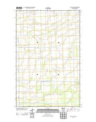 Thief Lake NW Minnesota Historical topographic map, 1:24000 scale, 7.5 X 7.5 Minute, Year 2013