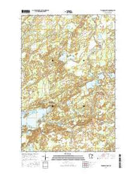 Thompson Lake Minnesota Current topographic map, 1:24000 scale, 7.5 X 7.5 Minute, Year 2016