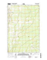 Thorhult Minnesota Current topographic map, 1:24000 scale, 7.5 X 7.5 Minute, Year 2016
