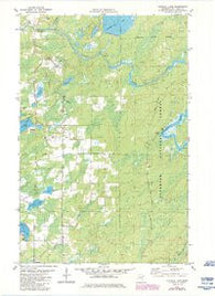 Turpela Lake Minnesota Historical topographic map, 1:24000 scale, 7.5 X 7.5 Minute, Year 1981