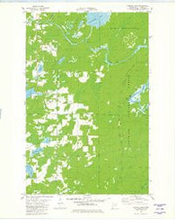 Turpela Lake Minnesota Historical topographic map, 1:24000 scale, 7.5 X 7.5 Minute, Year 1981