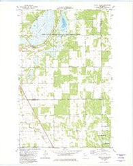 Twistal Swamp Minnesota Historical topographic map, 1:24000 scale, 7.5 X 7.5 Minute, Year 1982