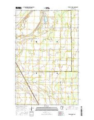 Twistal Swamp Minnesota Current topographic map, 1:24000 scale, 7.5 X 7.5 Minute, Year 2016