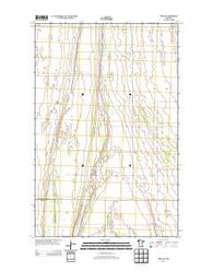 Viking SW Minnesota Historical topographic map, 1:24000 scale, 7.5 X 7.5 Minute, Year 2013