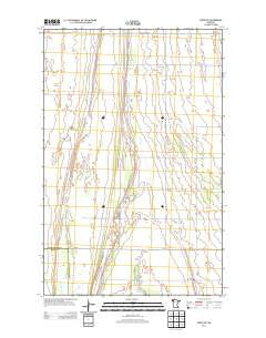 Viking SW Minnesota Historical topographic map, 1:24000 scale, 7.5 X 7.5 Minute, Year 2013
