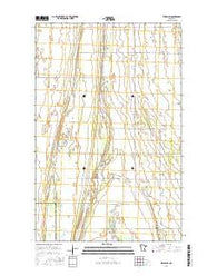 Viking SW Minnesota Current topographic map, 1:24000 scale, 7.5 X 7.5 Minute, Year 2016