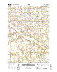 Wabasso SW Minnesota Current topographic map, 1:24000 scale, 7.5 X 7.5 Minute, Year 2016