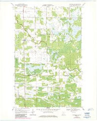 Wannaska SW Minnesota Historical topographic map, 1:24000 scale, 7.5 X 7.5 Minute, Year 1968