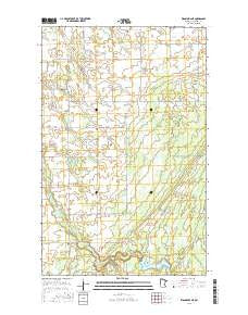 Wannaska NE Minnesota Current topographic map, 1:24000 scale, 7.5 X 7.5 Minute, Year 2016