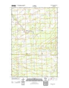 Wannaska SW Minnesota Historical topographic map, 1:24000 scale, 7.5 X 7.5 Minute, Year 2013
