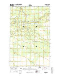 Wayland Minnesota Current topographic map, 1:24000 scale, 7.5 X 7.5 Minute, Year 2016